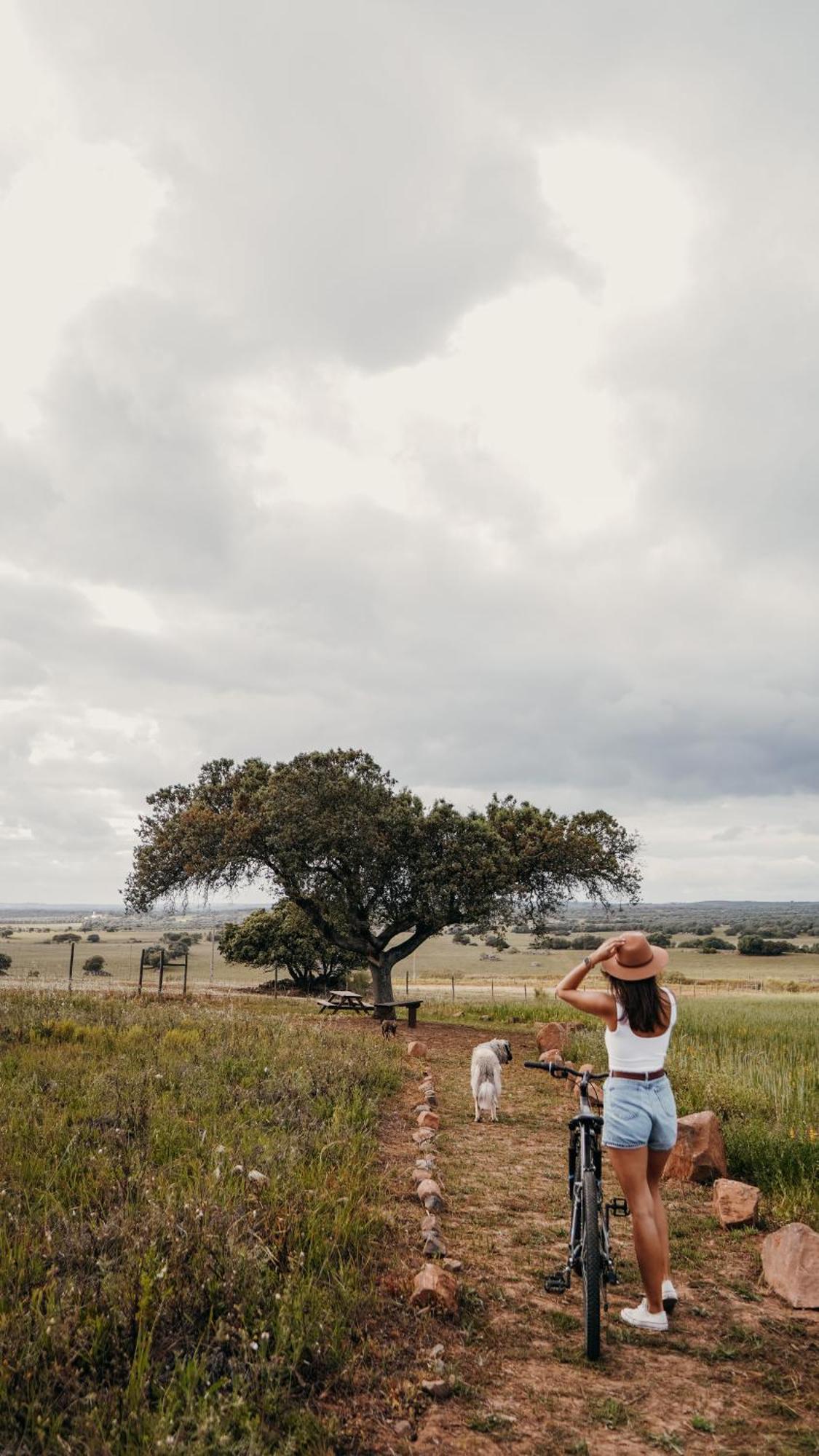 Montimerso Skyscape Countryhouse Monsaraz Exteriér fotografie