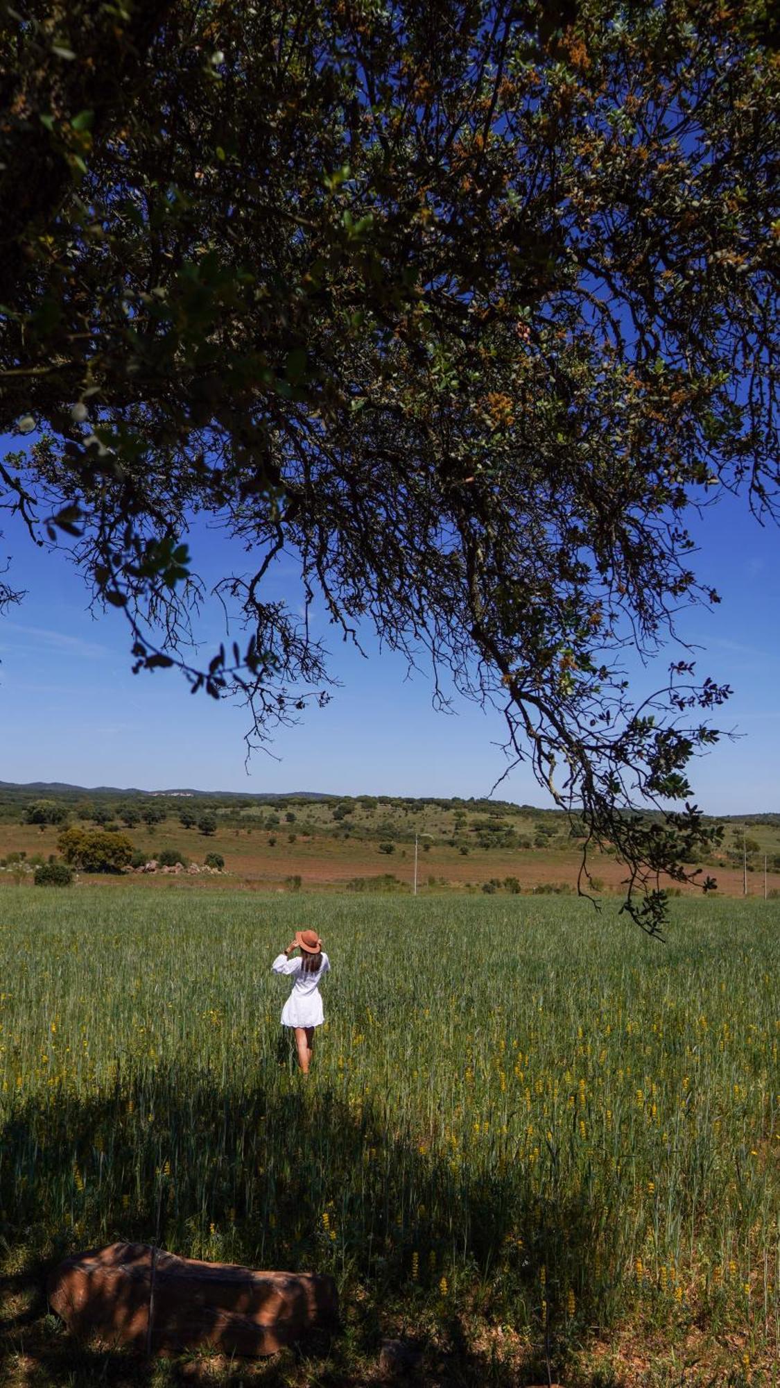 Montimerso Skyscape Countryhouse Monsaraz Exteriér fotografie