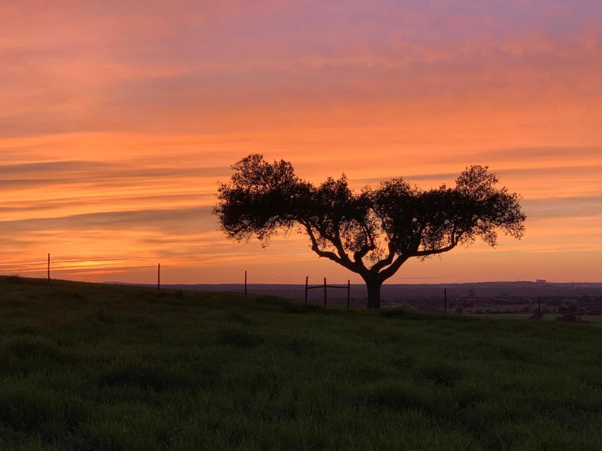 Montimerso Skyscape Countryhouse Monsaraz Exteriér fotografie